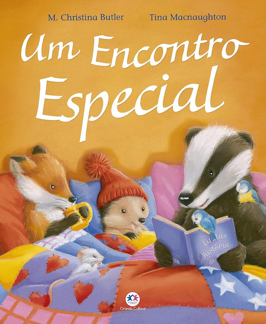 Um Encontro Especial - M. Christina Butler - Capa comum