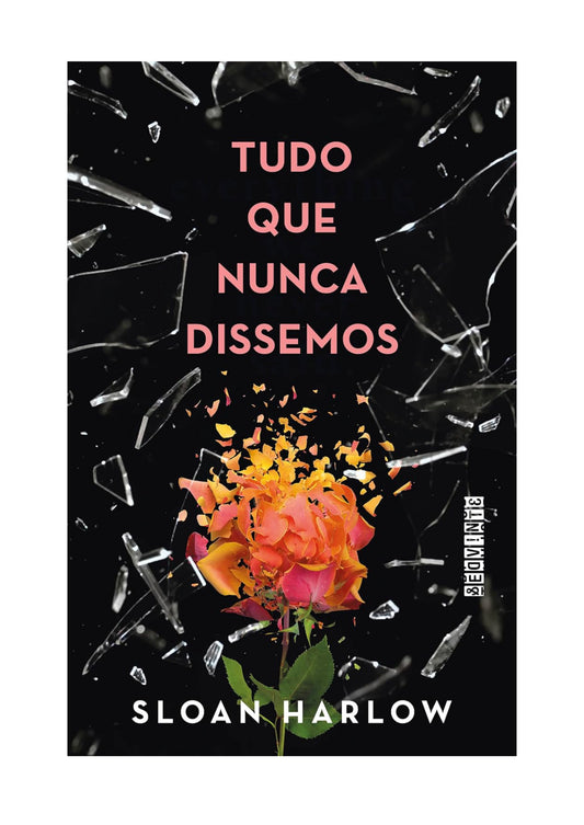 Tudo que nunca dissemos - Sloan Harlow